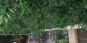 Mekanlara Ruh Katan Yapay Ağaç Çiçek Düzenlemeleri İçin Kapsamlı Rehber